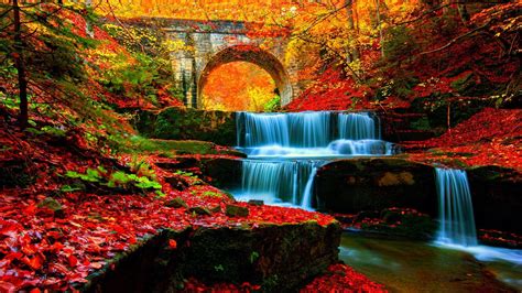 Autumn waterfall in the forest - backiee