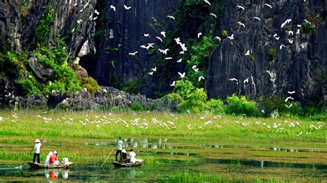 Thung Nham Bird Garden Ninh Binh - Entrance Fee, Tips, Travel Map