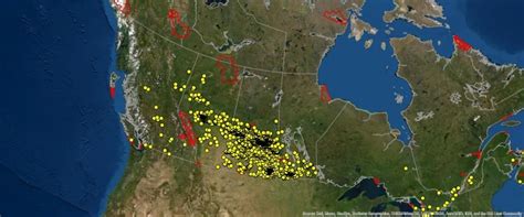 Wild pigs running amok in Saskatchewan: researcher | CBC News