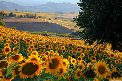 Sfondi : panorama, paesaggio, campagna, paesaggi, marche, Paesaggio, paesaggidellemarche ...