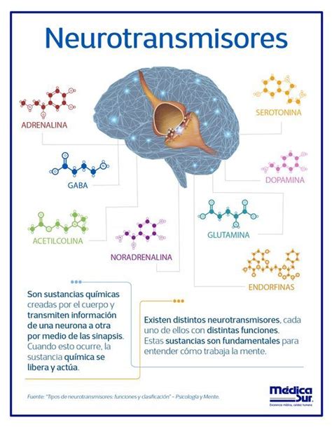 ¿Sabes qué son y para qué sirven los #neurotransmisores? Descubre las ...