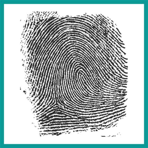 What Is a Fingerprint? Let’s Get to the Bottom of It