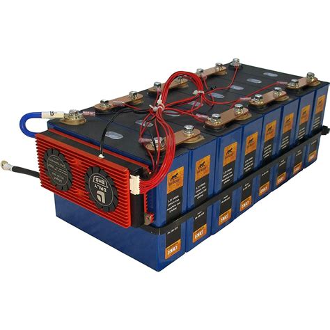 24V 100Ah LiFePO4 Prismatic Deep Cell Battery with 100A BMS – lynxbattery