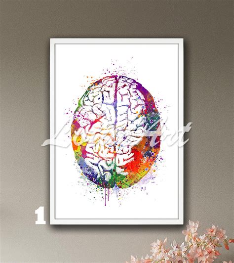 Brain Anatomy Art Watercolor Print Medical Science Neurology Doctor Office Decor Human ...