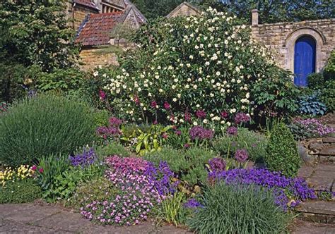 Cottage Gardens for American Gardeners – Black Gold