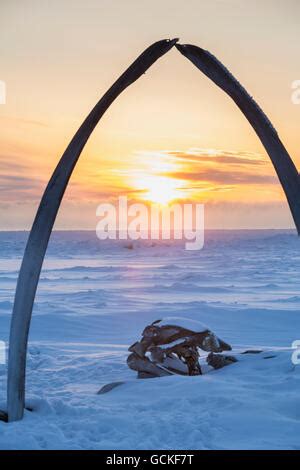 Whale Bone Arch in Barrow, Alaska Stock Photo: 136011786 - Alamy