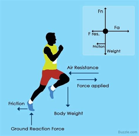 Force & Free Body Diagrams Diagram | Quizlet