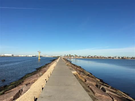 Surfside Beach & Jetty | Birding Locations