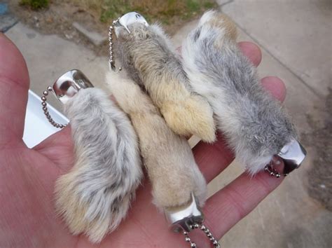 Lucky Rabbit's Foot Genuine Rabbit's Feet Key Chains Qty Feet For Good Luck ...