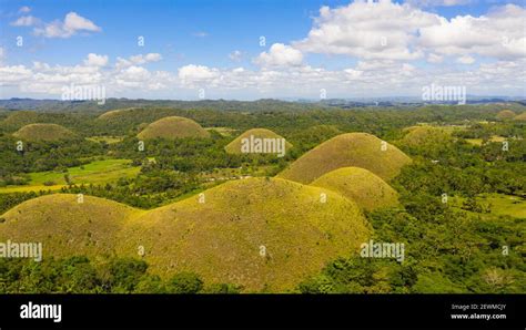 Aerial view of Chocolate hills in Bohol island,Philippines. Hills covered with grass and ...