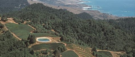 Fort Ross Vineyard and Winery, Jenner, CA - California Beaches