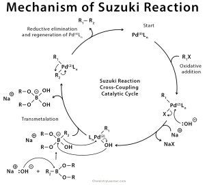 Suzuki Reaction: Definition, Example, Mechanism & Application