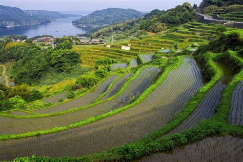 مدرجات حقول الأرز اليابانية...لوحات الطبيعة المدهشة (صور) | Nippon.com