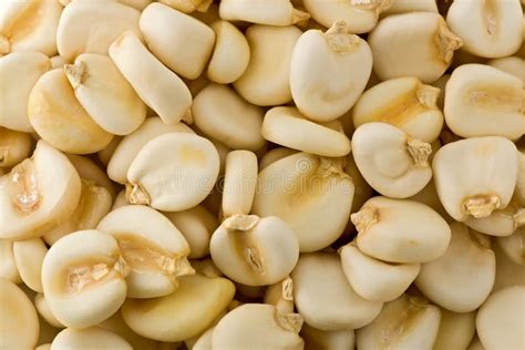 Dried Maize Mote stock photo. Image of cooking, hominy - 28413008