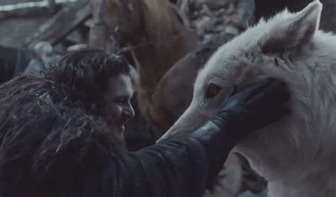 The Best 'Game Of Thrones' Finale Moment Was Jon & Ghost's Reunion