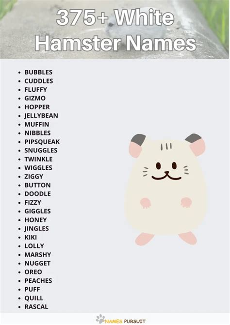 White Hamster Names [375+ Charming Naming Ideas]