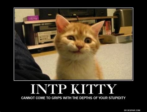 [INTP] INTP Kitty demotivational posters (humor) | Interesting! | Pinterest | Am, I am and ...