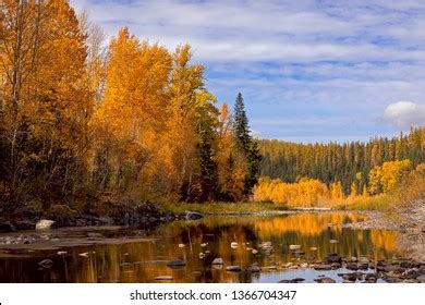 2,931 Montana Fall Colors Images, Stock Photos & Vectors | Shutterstock