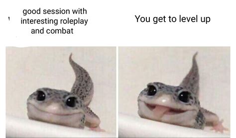 Make more lizard memes! : r/dndmemes