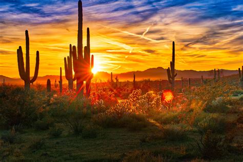 Best Places to Watch a Sunset in Phoenix | Parks & Gardens