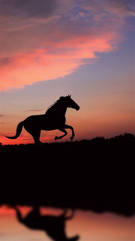 Black Horse iPhone Wallpapers - Top Free Black Horse iPhone Backgrounds ...