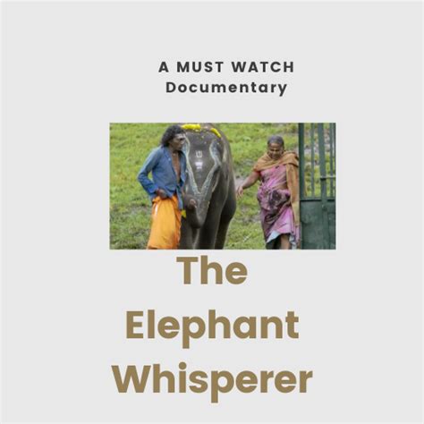 The Elephant Whisperer: A Documentary Review - Our Sunday Project