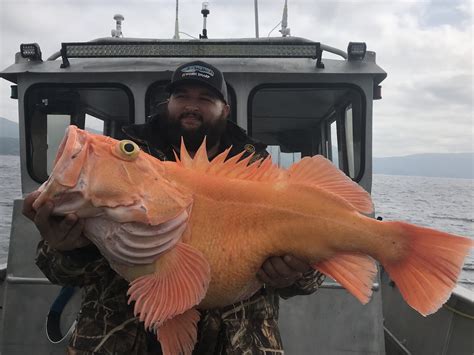 Rockfish - Kodiak Charters in Larsen Bay, Alaska