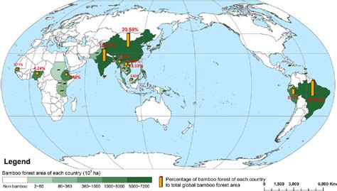 Bamboo Forest China Map