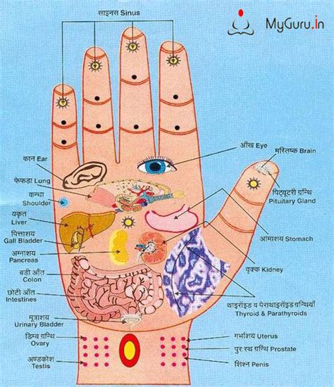 What is the chart of Acupressure points in hand Details - Charts of Acupressure Points