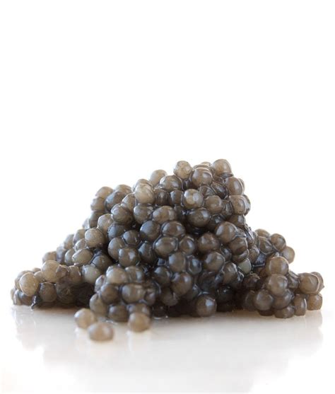 White Sturgeon Caviar