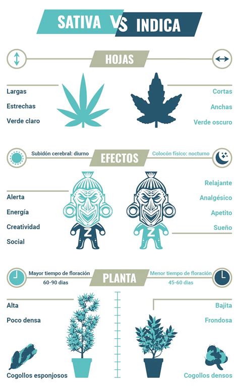 Sativa, Indica, Ruderalis & Híbridos - Guía De Cultivo De Marihuana