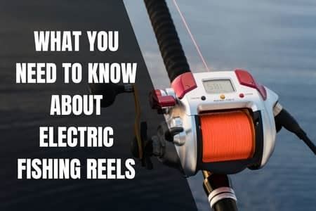 What You Need To Know About Electric Fishing Reels - Begin To Fish