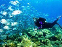 Scuba Diving Bazaruto Island Bazaruto Archipelago Inhambane Mozambique