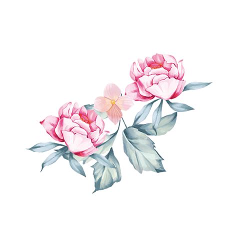 Transparent Material Hd Transparent, Watercolor Flowers Transparent ...