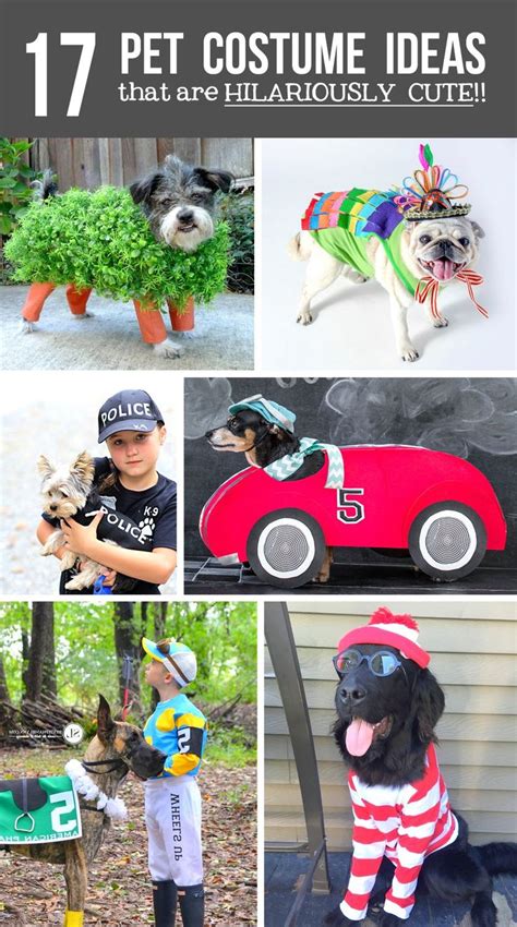 17 DIY Pet Costume Ideas that are Hilariously CUTE! | Diy pet costumes ...