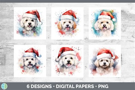 Christmas Santa Hat Bichon Frise Dog Paper Backgrounds | Dig