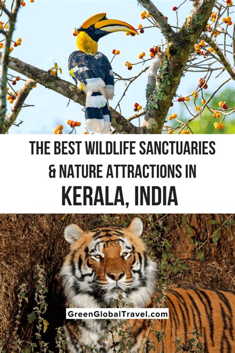 Kerala wildlife sanctuaries nature attractions – Artofit