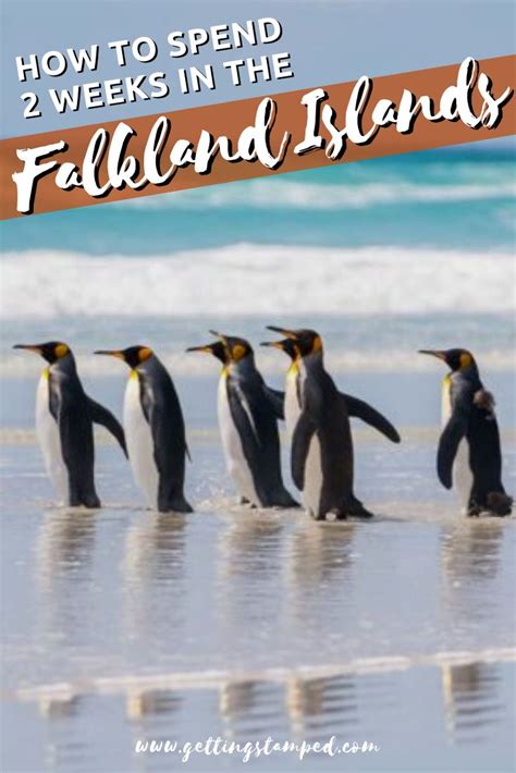 Two Weeks in the Falkland Islands Itinerary & Travel Guide | South america travel, Island travel ...