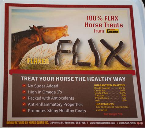 Healthy Horse Treats - Budget Equestrian