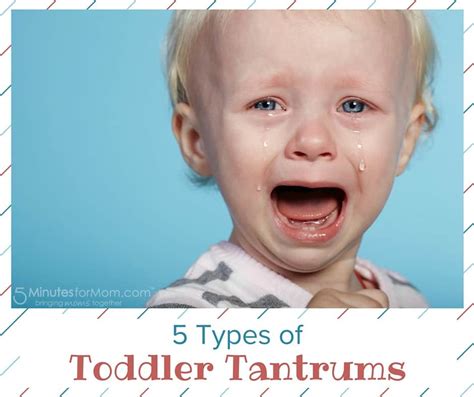 5 Types of Toddler Tantrums - 5 Minutes for Mom