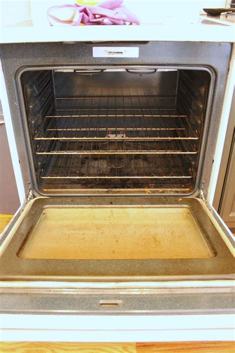 DIY Natural and Homemade Oven Cleaner With Baking Soda And Vinegar