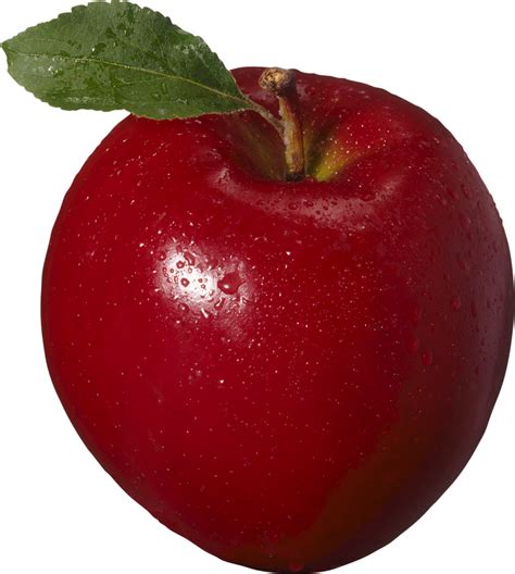 Red Apple PNG Image - PurePNG | Free transparent CC0 PNG Image Library