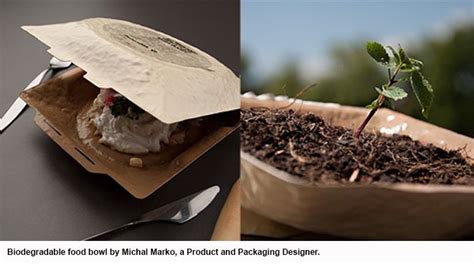 Biodegradable vs. Compostable Packaging Materials | Swedbrand