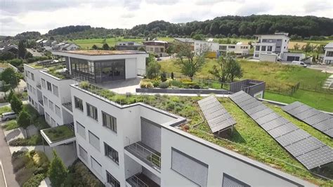 Green Roof Installation and Construction | Fitting DIY Flat and Pitched Green Roofs | DIY Doctor