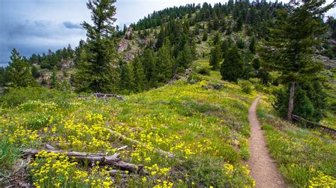 11 of Boulder’s Greatest Hiking Trails | Best day hikes in Boulder, CO