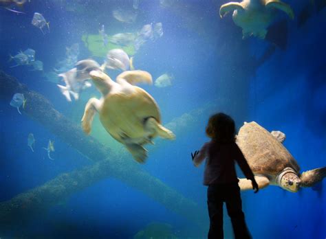 John&Emily Jones: Virginia Beach Aquarium