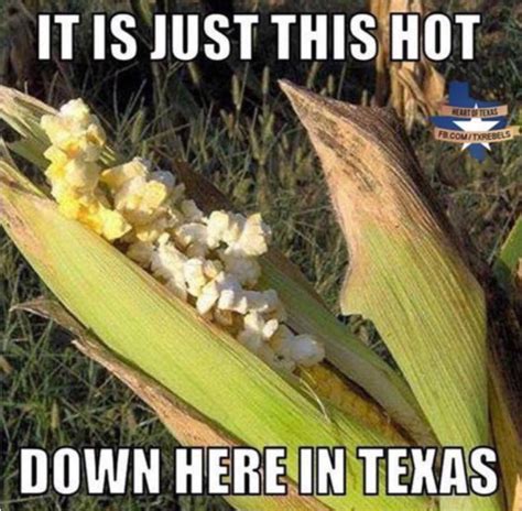 Texas humor image by Victoria Rivera on Humor | Texas forever, Texas weather