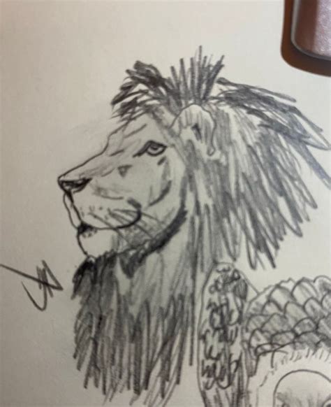 Sketch Lion Side Profile in 2022 | Side profile, Lion, Animal pictures