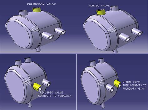 Valves of Artificial Heart | Download Scientific Diagram