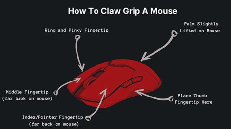 How To Claw Grip A Mouse: Explained - Switch and Click